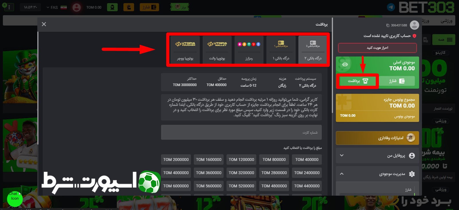برداشت از حساب بت 303